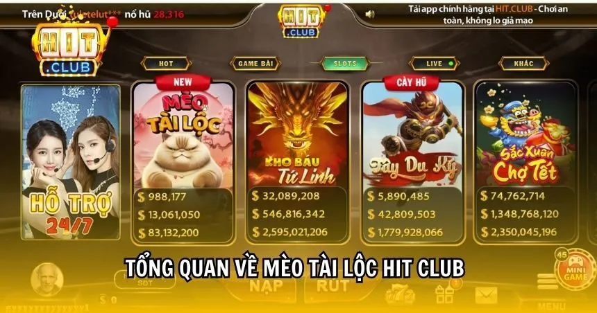 Tổng quan về Mèo Tài Lộc HIT CLUB